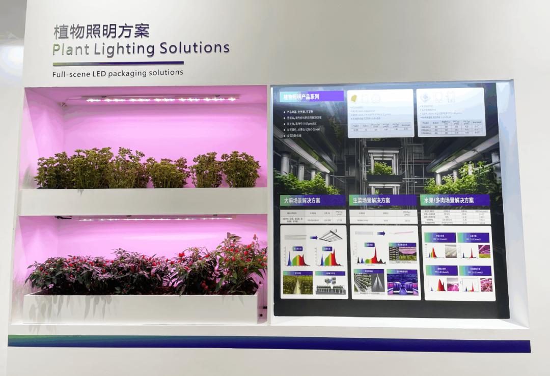 918博天堂(中国区)集团网站