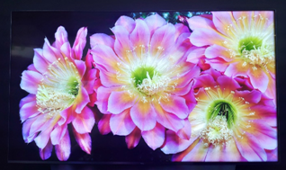 918博天堂(中国区)集团网站